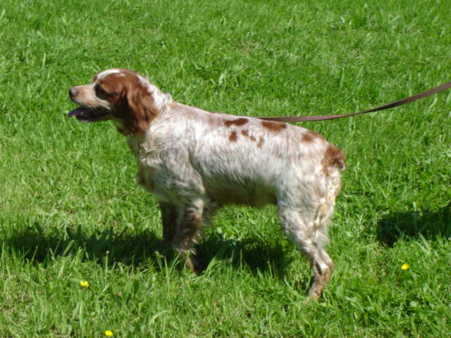 Truffe de la Vallée du Vey