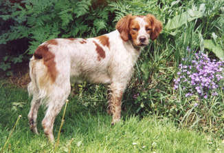 Truffe de la Vallée du Vey