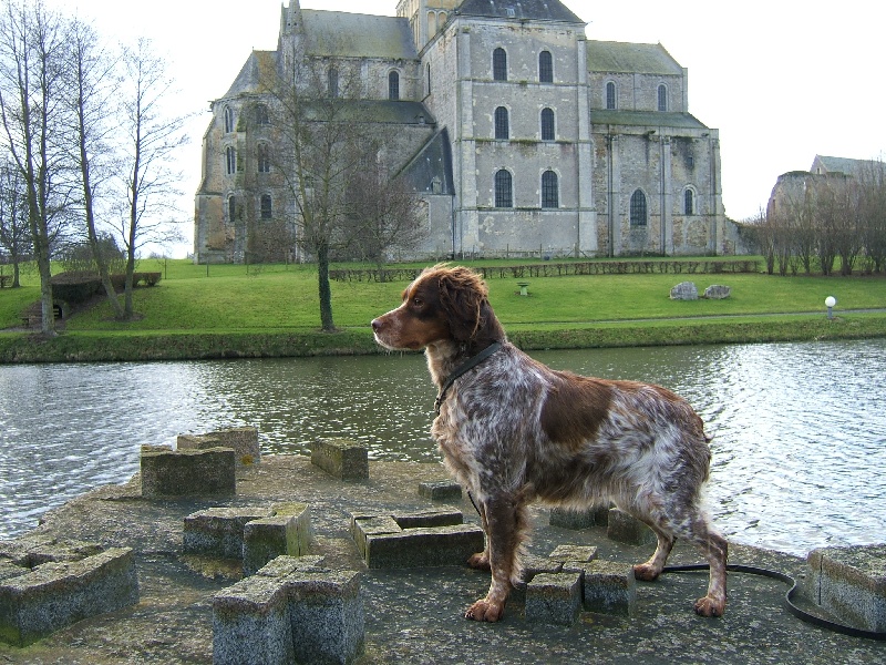 TR. Ulla 36-15 de la Vallée du Vey