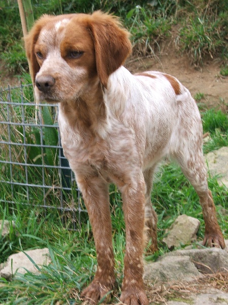 Diwen de la Vallée du Vey