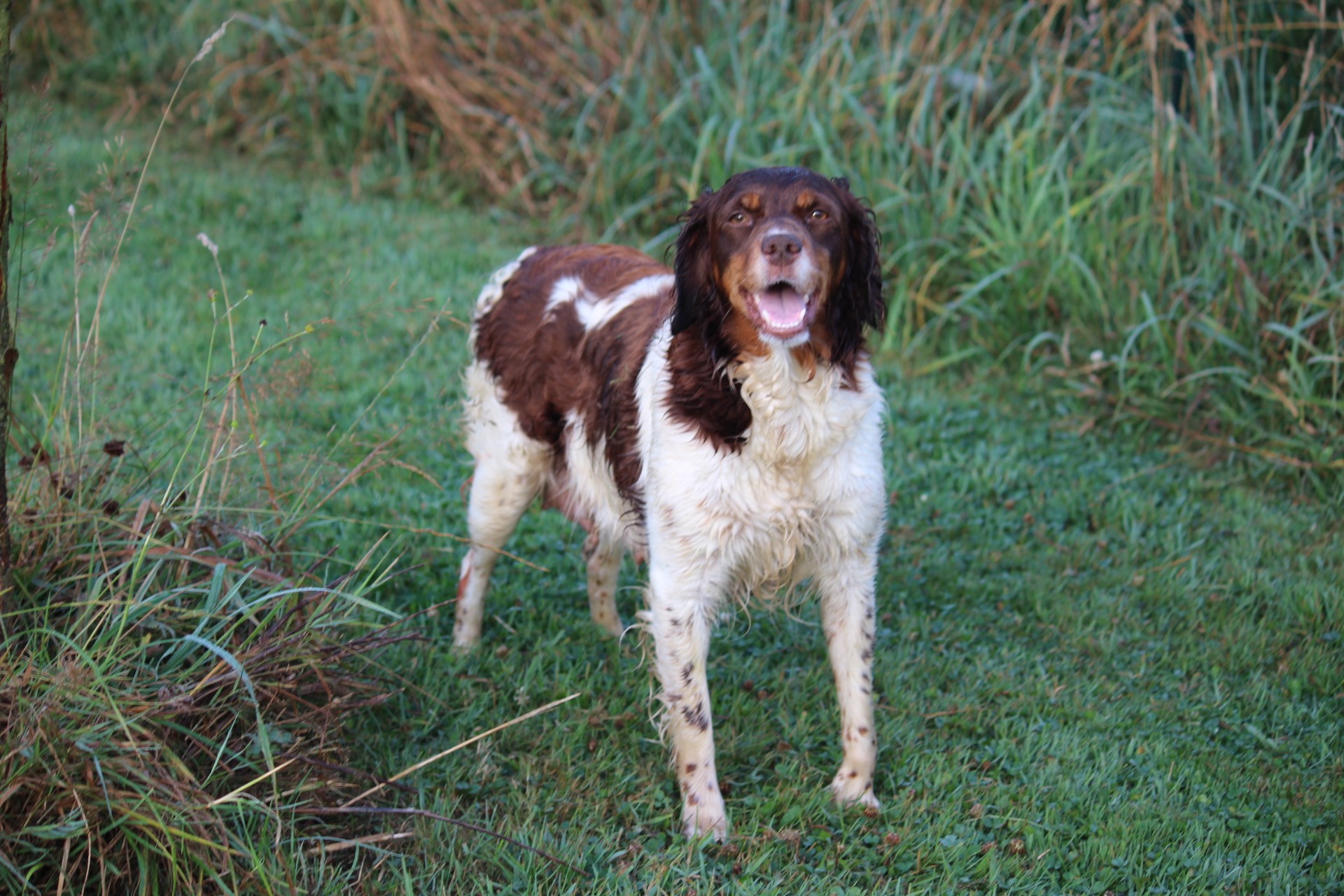 Lisette de la Vallée du Vey